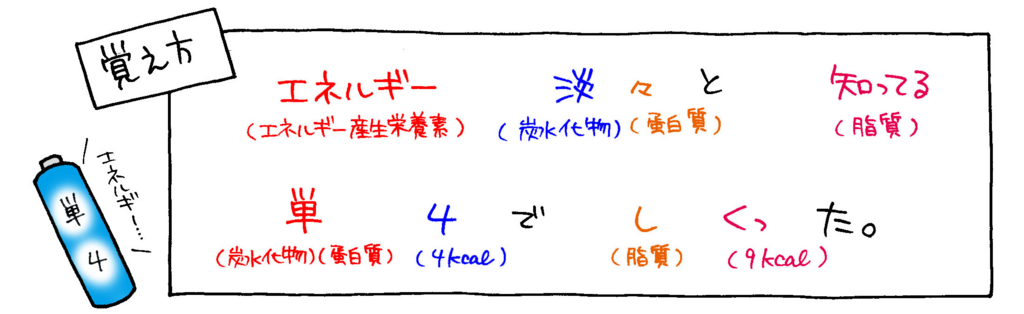 エネルギー産生栄養素とエネルギー換算係数覚え方イラスト