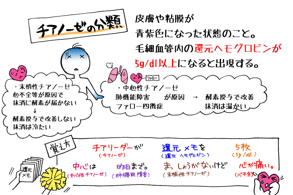 チアノーゼの分類解説イラスト