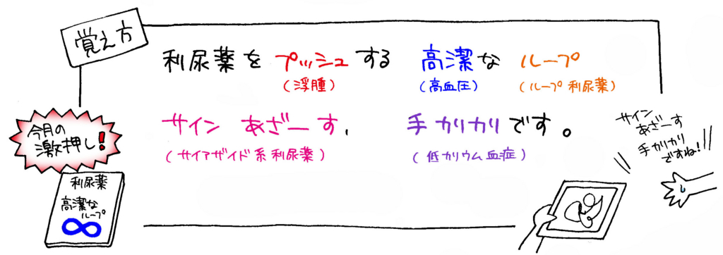 利尿薬の基礎知識覚え方イラスト