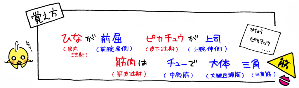 注射方法ごとの穿刺部位の覚え方イラスト