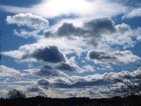 f:id:sifue:20090102112520j:image