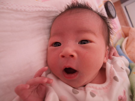 f:id:sifue:20101211122148j:image