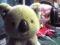 f:id:sigure430:20110224013000j:image:small f:id:sigure430:20110224013000j:image:small