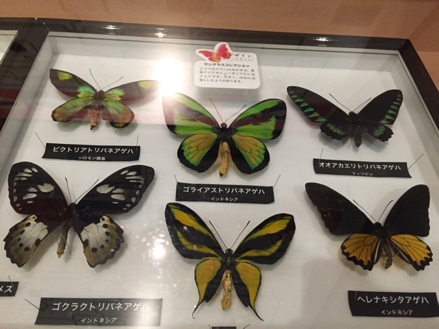 f:id:sigxx:20150301210116j:plain f:id:sigxx:20150301210116j:plain