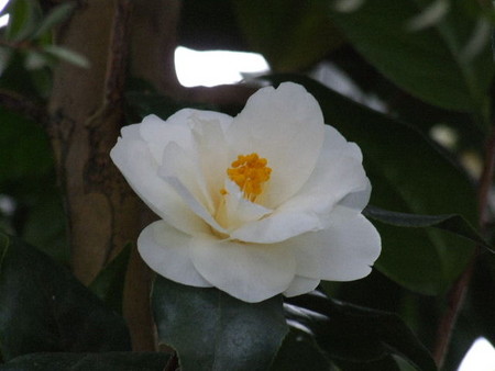 f:id:sikihuukei:20070222195030j:image f:id:sikihuukei:20070222195030j:image