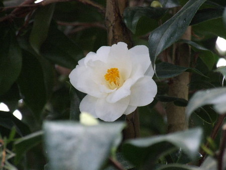 f:id:sikihuukei:20070222195522j:image f:id:sikihuukei:20070222195522j:image
