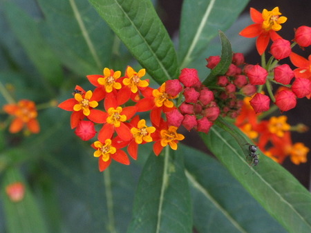 f:id:sikihuukei:20070809044721j:image f:id:sikihuukei:20070809044721j:image