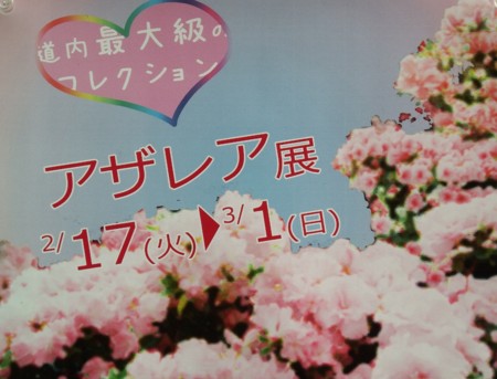 99．万葉集に詠まれている花（30）つつじ：躑躅 - 万葉集の日記