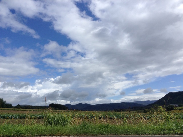 f:id:sikinari:20140918215917j:plain f:id:sikinari:20140918215917j:plain