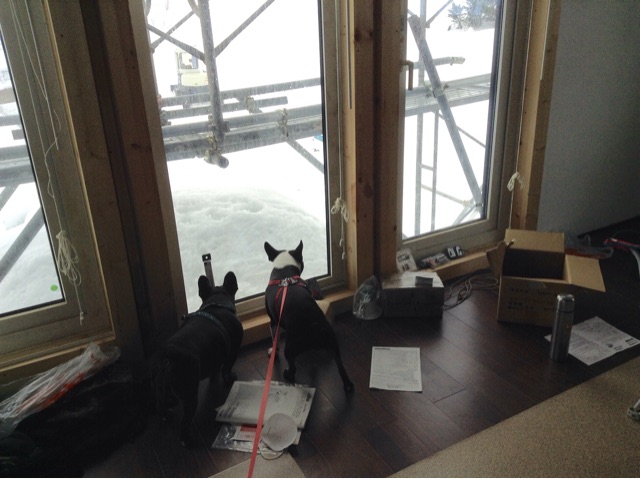 f:id:sikinari:20150219141722j:plain f:id:sikinari:20150219141722j:plain