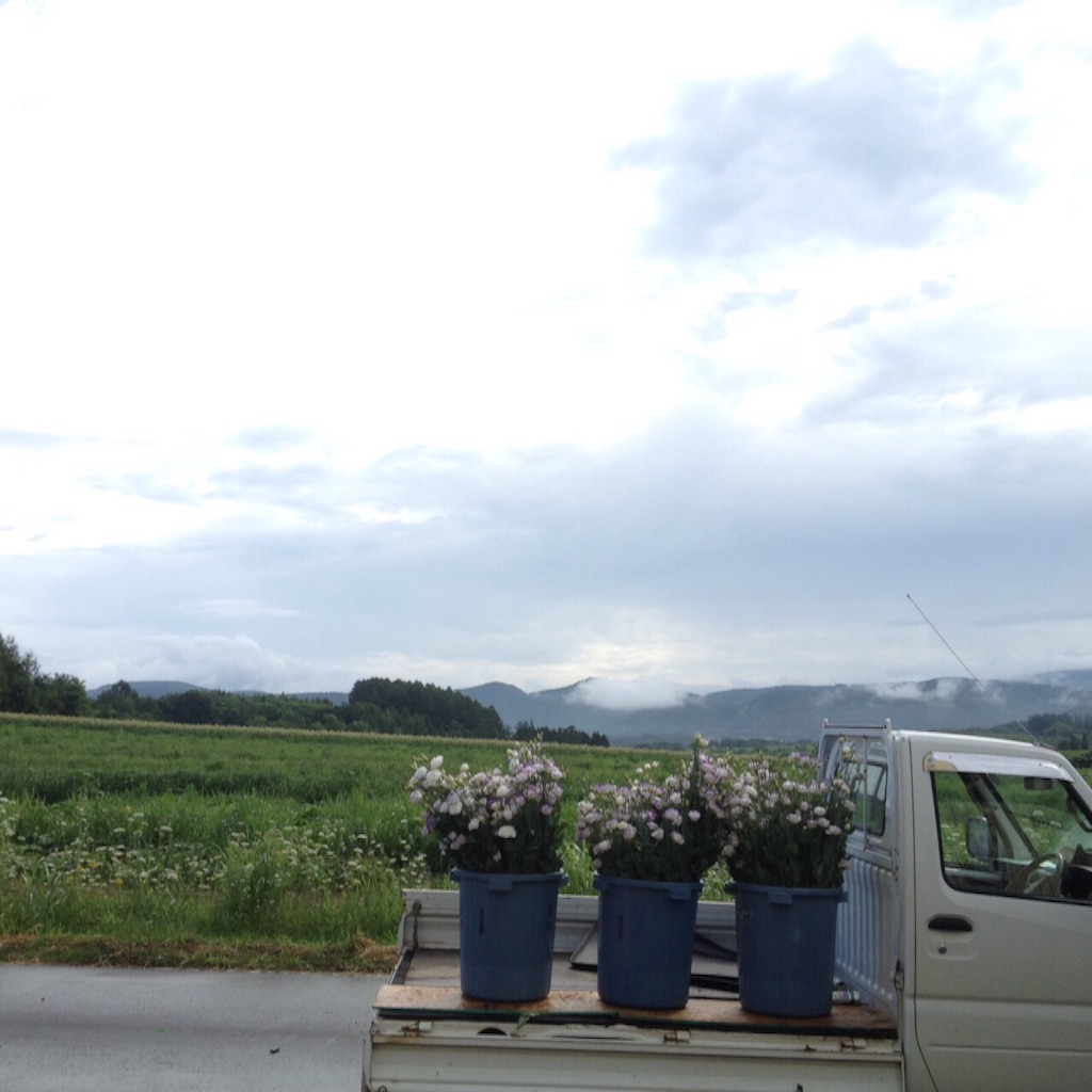f:id:sikinari:20150816194410j:image f:id:sikinari:20150816194410j:image