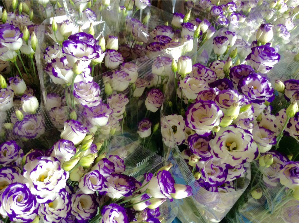 f:id:sikinari:20150822200705j:image f:id:sikinari:20150822200705j:image