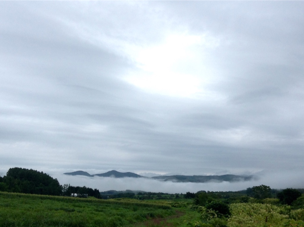 f:id:sikinari:20150822201751j:image f:id:sikinari:20150822201751j:image