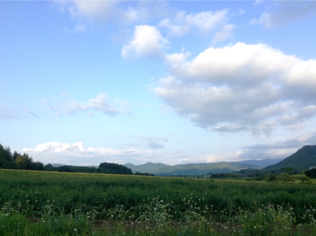 f:id:sikinari:20150822201913j:image f:id:sikinari:20150822201913j:image
