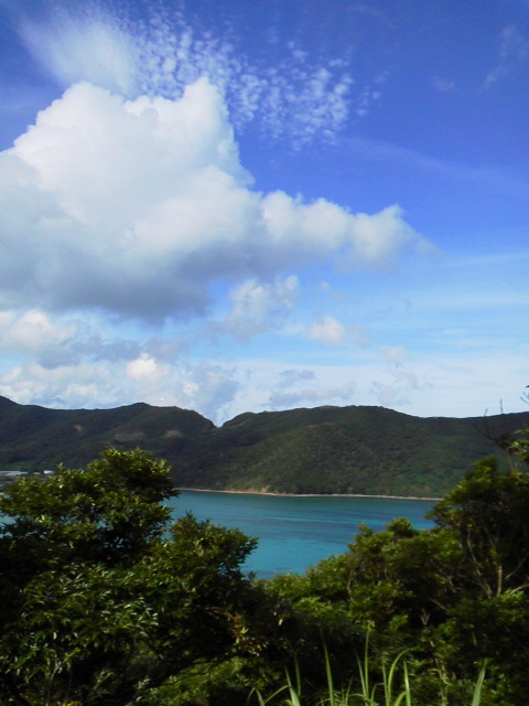 f:id:sikisaiblog:20150615184221j:plain f:id:sikisaiblog:20150615184221j:plain