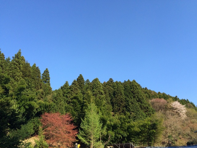 f:id:silane:20150429232925j:plain f:id:silane:20150429232925j:plain