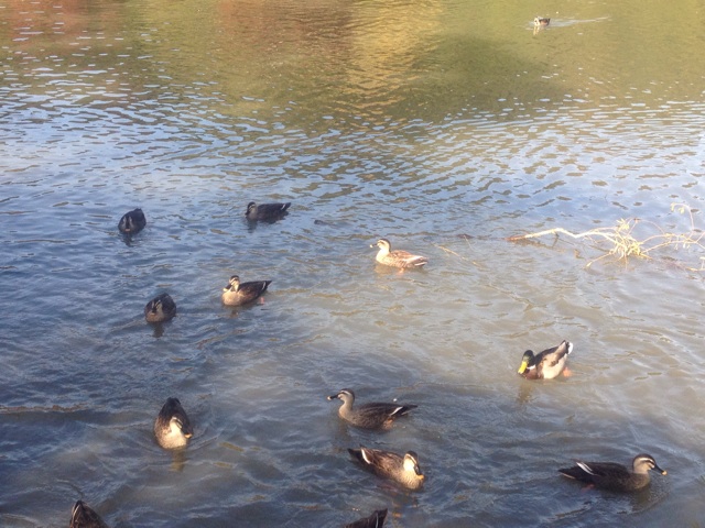 f:id:simon8390:20131114185726j:plain f:id:simon8390:20131114185726j:plain