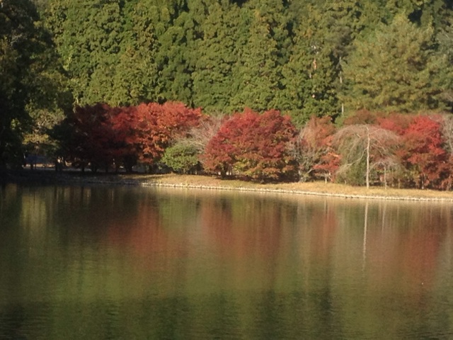 f:id:simon8390:20131114191746j:plain f:id:simon8390:20131114191746j:plain