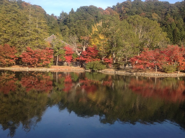 f:id:simon8390:20131114192229j:plain f:id:simon8390:20131114192229j:plain