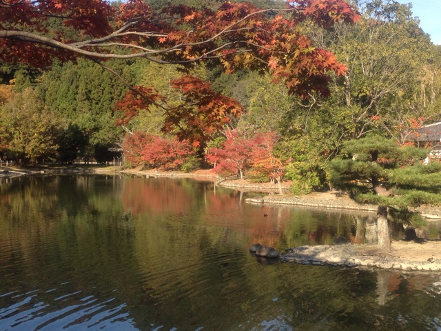 f:id:simon8390:20131114192324j:plain f:id:simon8390:20131114192324j:plain