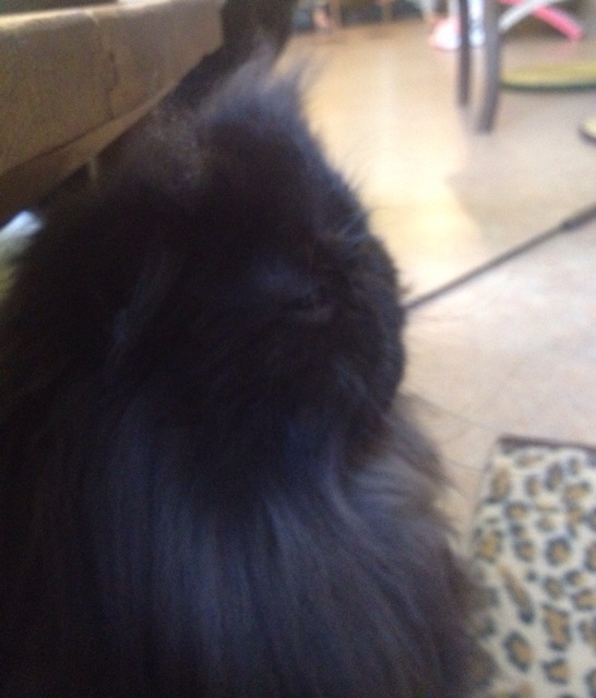 f:id:simon8390:20141228154257j:plain f:id:simon8390:20141228154257j:plain