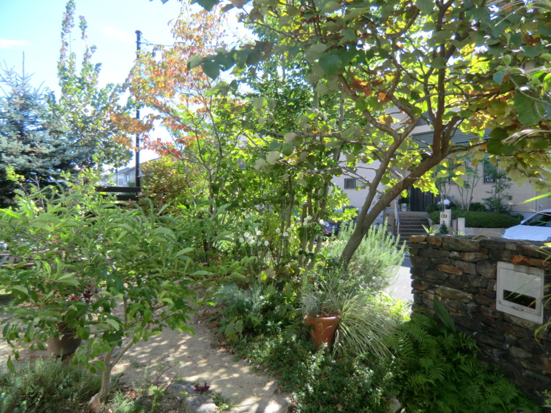 f:id:simplegarden:20121011110321j:plain f:id:simplegarden:20121011110321j:plain