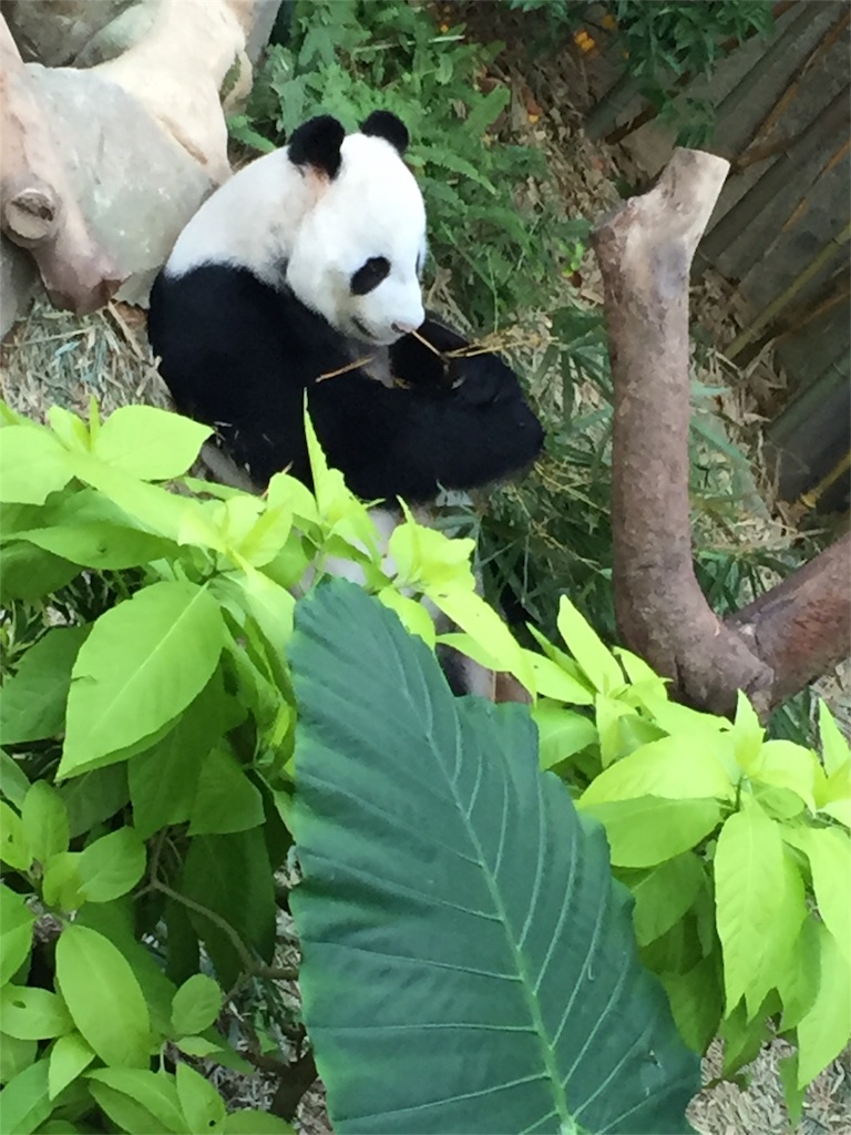 f:id:singaporeliving:20151203170344j:image f:id:singaporeliving:20151203170344j:image