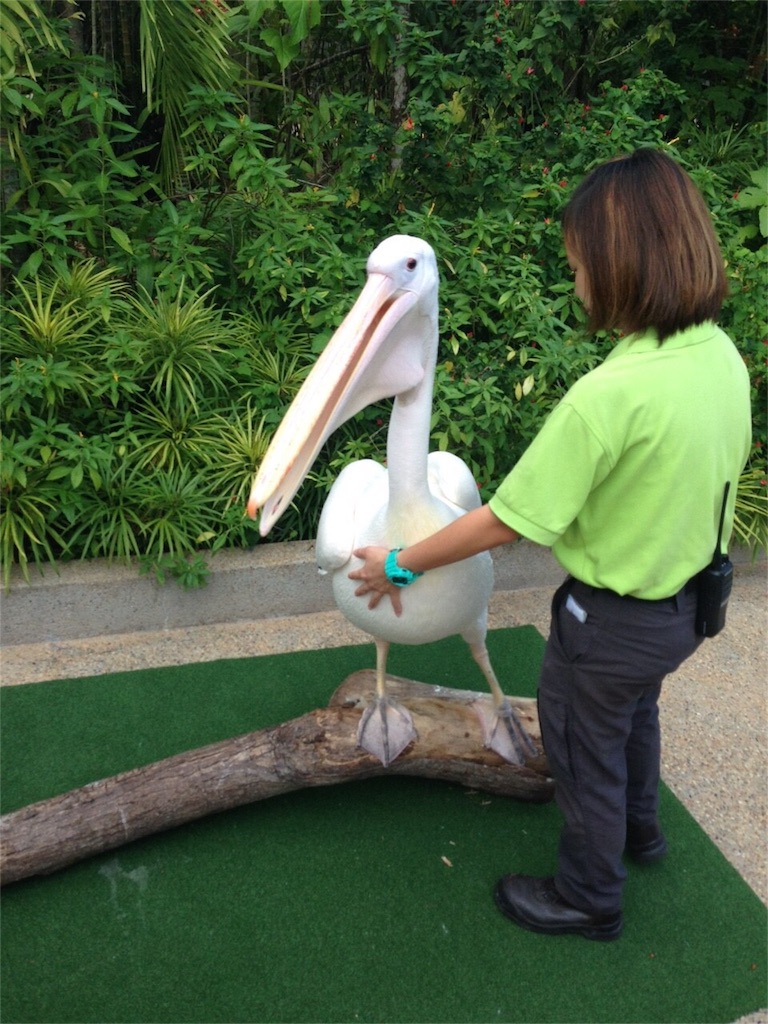 f:id:singaporeliving:20151203171204j:image f:id:singaporeliving:20151203171204j:image