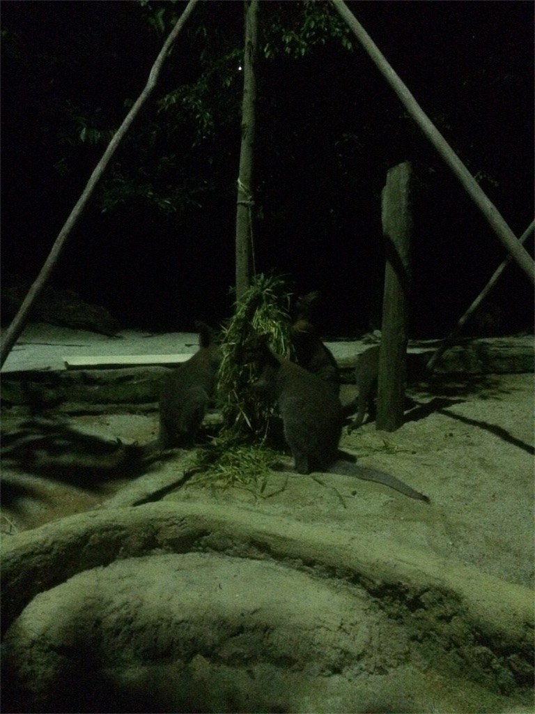 f:id:singaporeliving:20151217124313j:image f:id:singaporeliving:20151217124313j:image