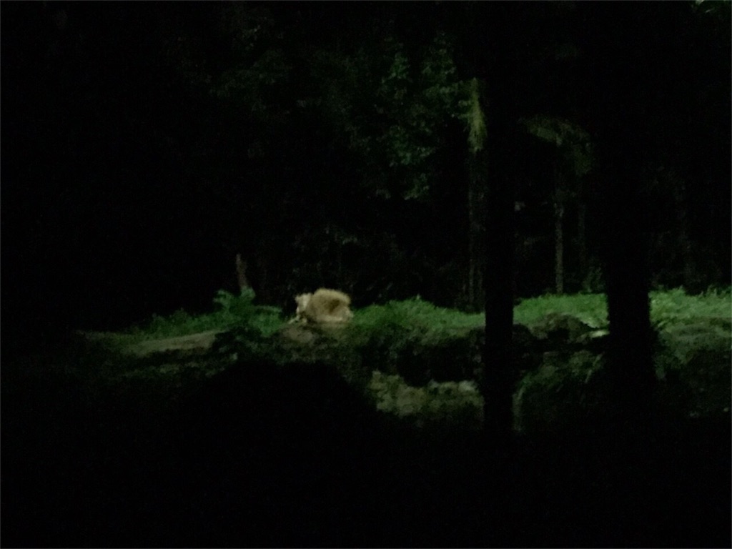 f:id:singaporeliving:20151217124438j:image f:id:singaporeliving:20151217124438j:image