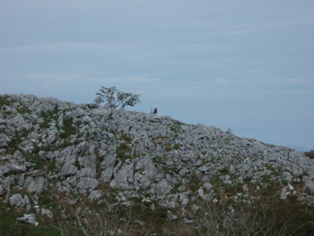 f:id:single779:20140915160415j:image f:id:single779:20140915160415j:image