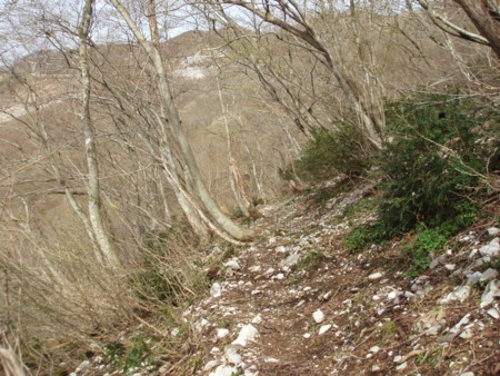 f:id:single779:20150418192328j:image