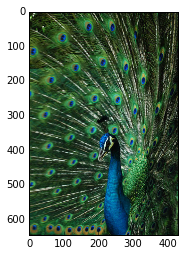 f:id:sinhrks:20150705190953p:plain f:id:sinhrks:20150705190953p:plain