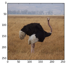 f:id:sinhrks:20150705191022p:plain f:id:sinhrks:20150705191022p:plain