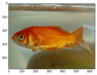 f:id:sinhrks:20150705195422p:plain f:id:sinhrks:20150705195422p:plain