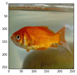 f:id:sinhrks:20150705195440p:plain f:id:sinhrks:20150705195440p:plain