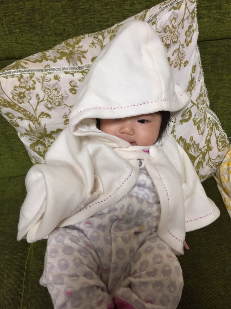 f:id:sinnmaipapa:20151104080431j:image f:id:sinnmaipapa:20151104080431j:image
