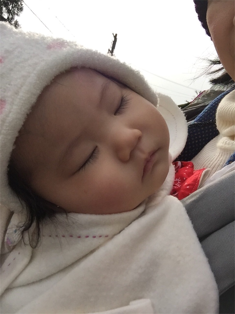 f:id:sinnmaipapa:20160122184325j:image f:id:sinnmaipapa:20160122184325j:image
