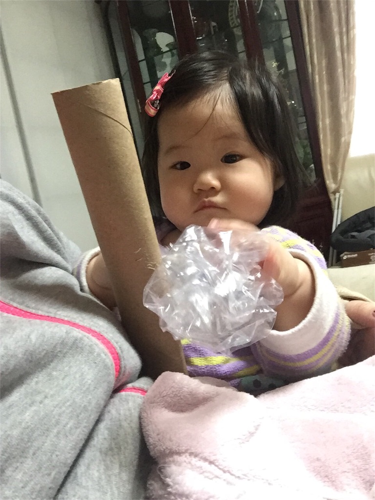f:id:sinnmaipapa:20160203182250j:image f:id:sinnmaipapa:20160203182250j:image