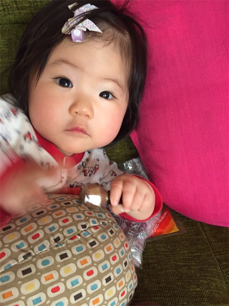 f:id:sinnmaipapa:20160219184436j:image f:id:sinnmaipapa:20160219184436j:image