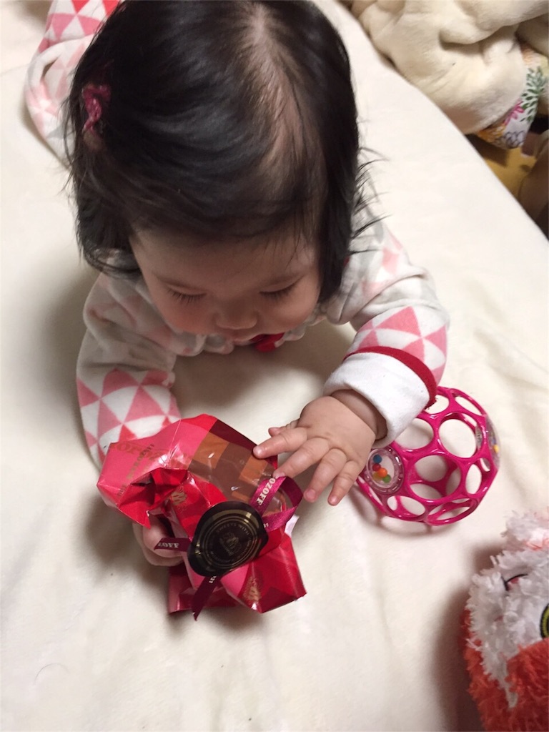 f:id:sinnmaipapa:20160223102727j:image f:id:sinnmaipapa:20160223102727j:image