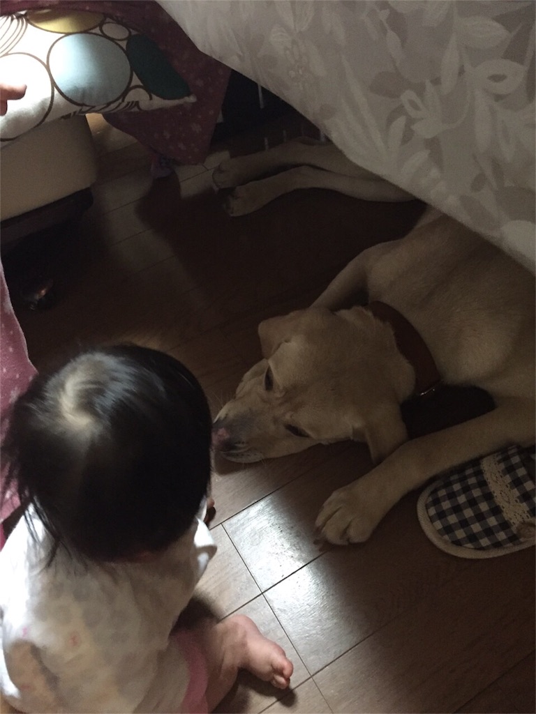f:id:sinnmaipapa:20160223191741j:image f:id:sinnmaipapa:20160223191741j:image