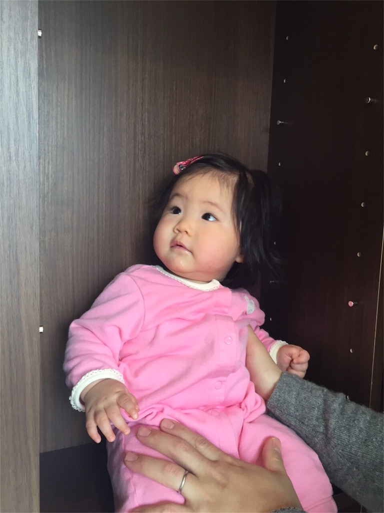 f:id:sinnmaipapa:20160223235351j:image f:id:sinnmaipapa:20160223235351j:image