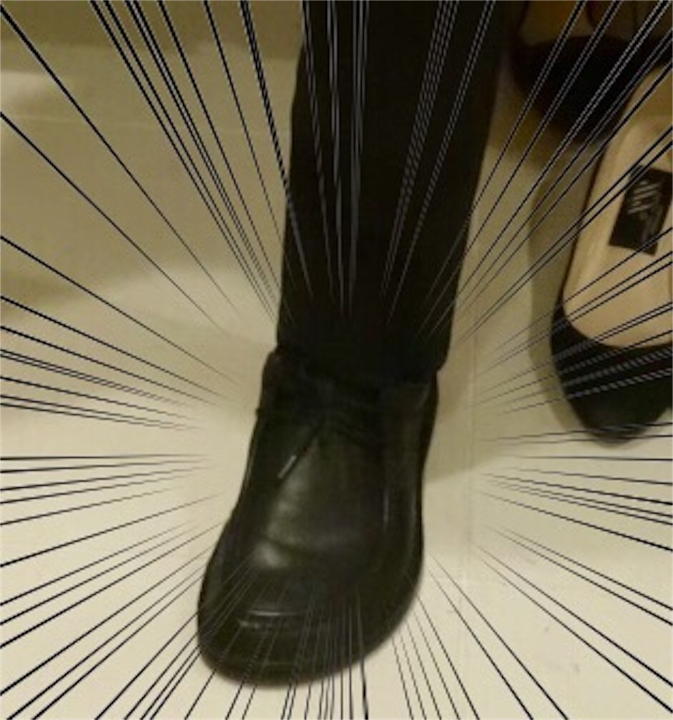 f:id:sinsimakoto:20160329220749j:image f:id:sinsimakoto:20160329220749j:image
