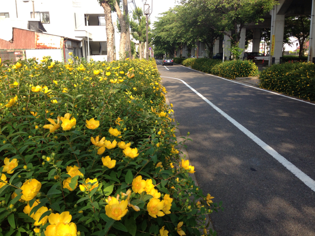 f:id:sirakawakisimenn320:20130601131718j:plain f:id:sirakawakisimenn320:20130601131718j:plain