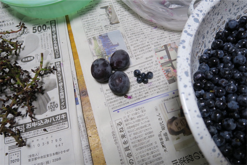 f:id:sirakawakisimenn320:20151004003155j:image f:id:sirakawakisimenn320:20151004003155j:image