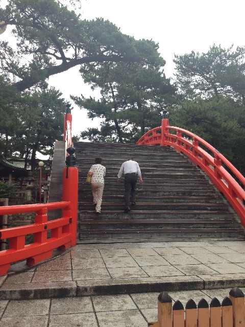 f:id:sirayuki-seitai:20150706211414j:image f:id:sirayuki-seitai:20150706211414j:image