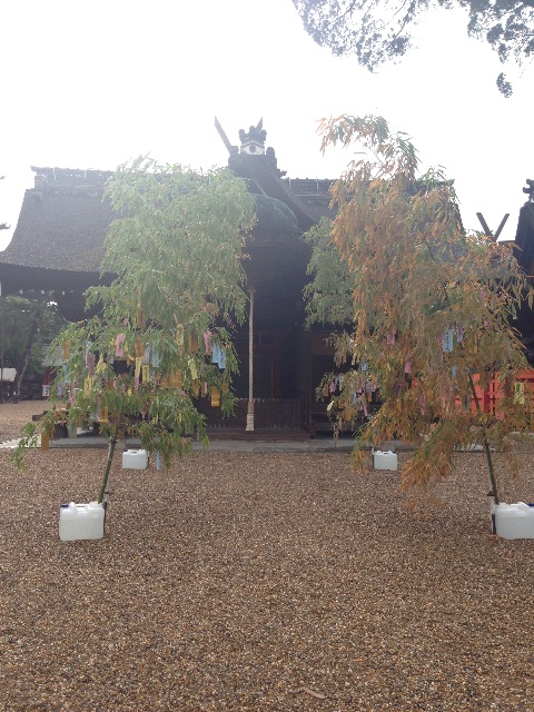 f:id:sirayuki-seitai:20150706211430j:image f:id:sirayuki-seitai:20150706211430j:image