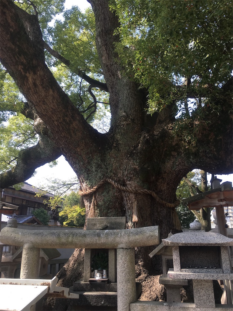 f:id:sirayuki-seitai:20151020213803j:image f:id:sirayuki-seitai:20151020213803j:image