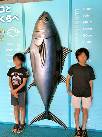 f:id:sixx-nine:20150514095427j:plain f:id:sixx-nine:20150514095427j:plain